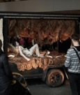 The Caravan Project at MoMA January 17th 2013