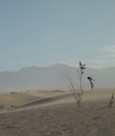 Death Valley: Sand (2019)