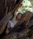 Sequoia: Root (2019)