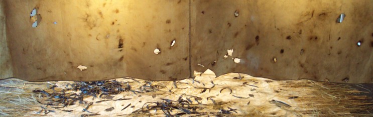 Like a River,  Time is Naked