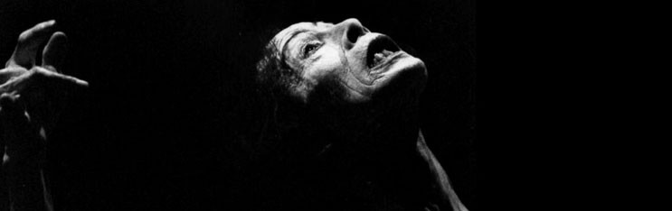 Celebrating Kazuo Ohno