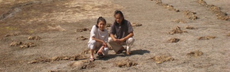 Eiko & Koma’s “Raven” to hover over the Lynden Garden