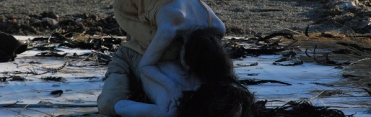 <i>Raven</i> and <i>Fission</i> at Lynden Sculpture Garden