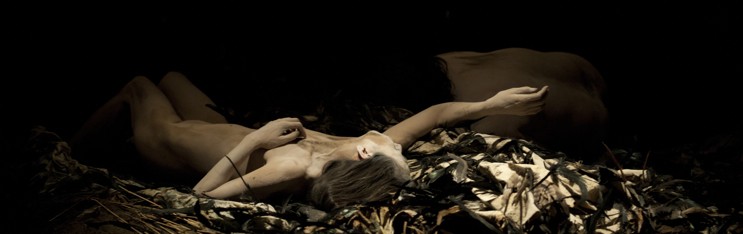 From Erin Crawley-Woods