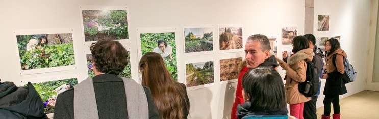 A Body in Fukushima in 3 Wesleyan galleries