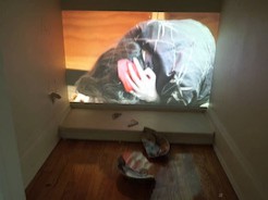 R2R 2016: Video Installation: A BODY WITH WATER 