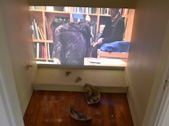 R2R 2016: Video Installation A Body with Water