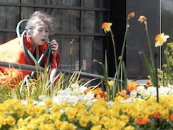 A Body in Atlanta (2017)