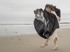 A Body in Fukushima 2017