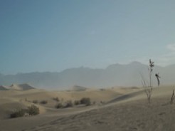 Death Valley: Sand (2019)